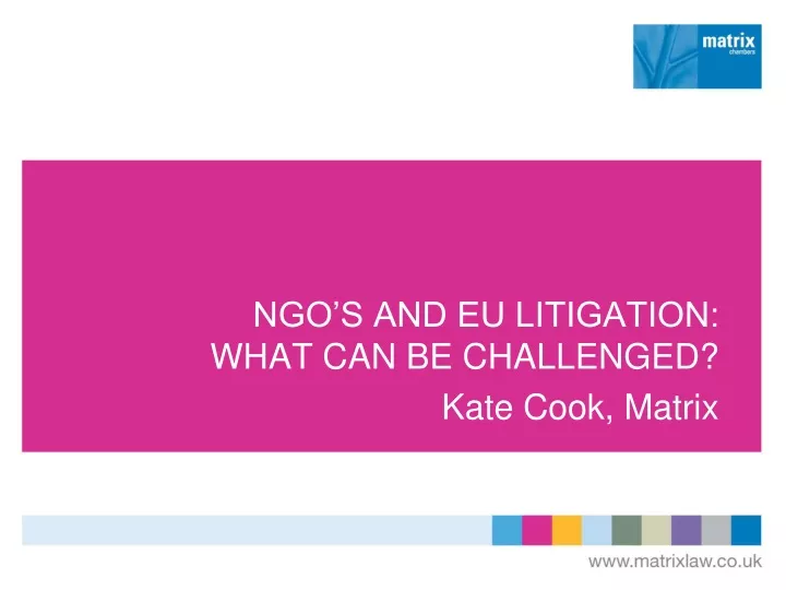 ngo s and eu litigation what can be challenged kate cook matrix