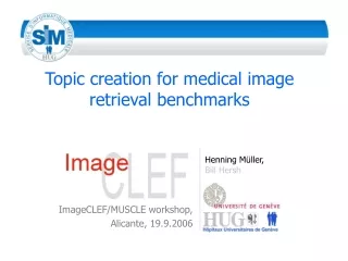 Topic creation for medical image retrieval benchmarks