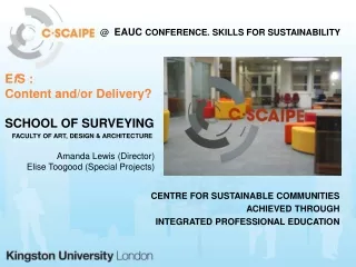 E f S : Content and/or Delivery? SCHOOL OF SURVEYING