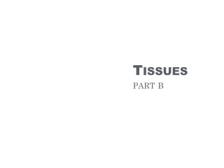 Tissues part b