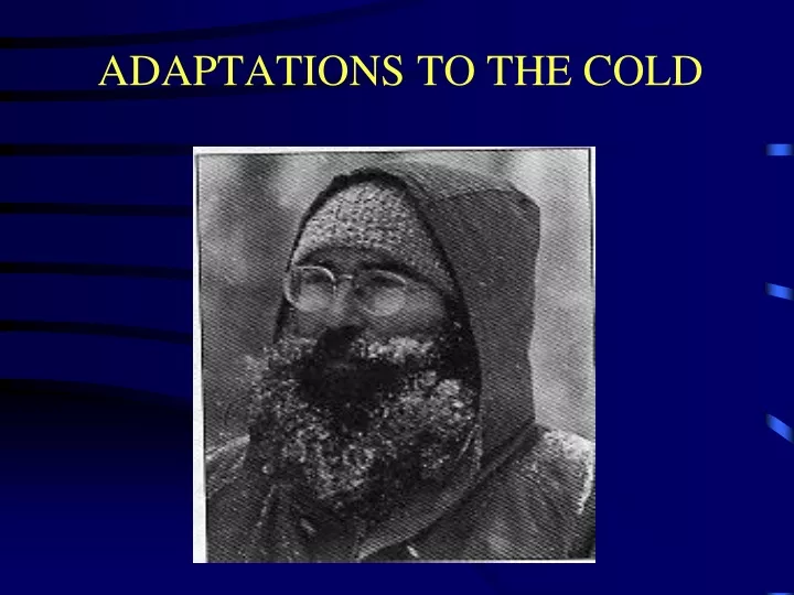 adaptations to the cold