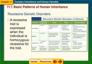 11.1 Basic Patterns of Human Inheritance