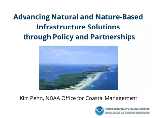 Advancing Natural and Nature-Based Infrastructure Solutions  through Policy and Partnerships