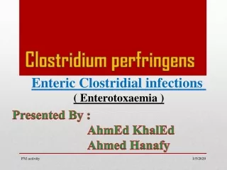 C lostridium perfringens