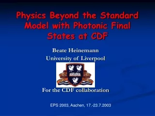 Physics Beyond the Standard Model with Photonic Final States at CDF