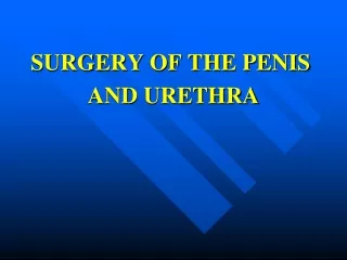 SURGERY OF THE PENIS  AND URETHRA