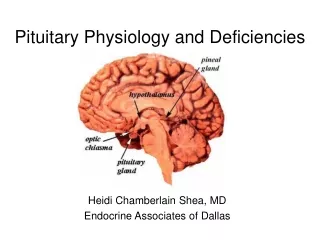 Pituitary Physiology and Deficiencies