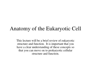 Anatomy of the Eukaryotic Cell