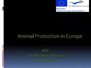 Animal Protection in Europe