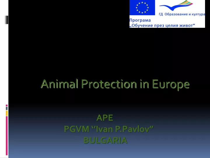 animal protection in europe