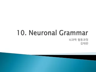 10. Neuronal Grammar