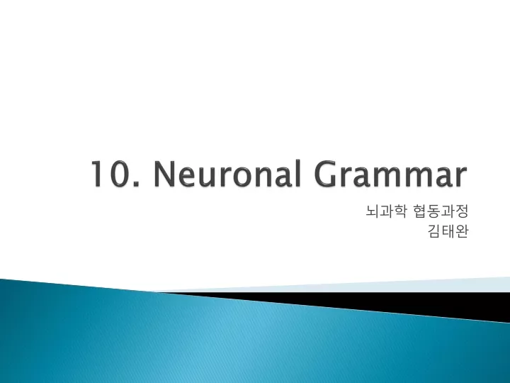 10 neuronal grammar
