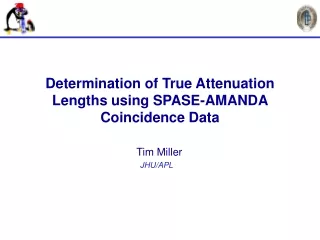 Determination of True Attenuation Lengths using SPASE-AMANDA Coincidence Data
