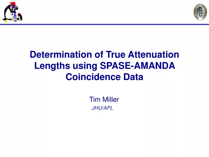 determination of true attenuation lengths using spase amanda coincidence data