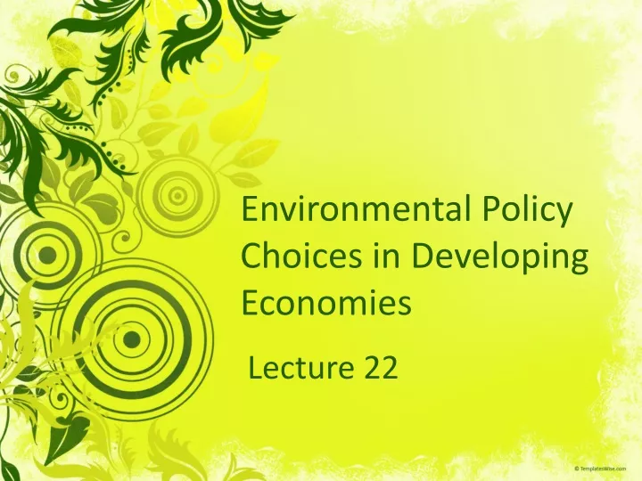 environmental policy choices in developing economies