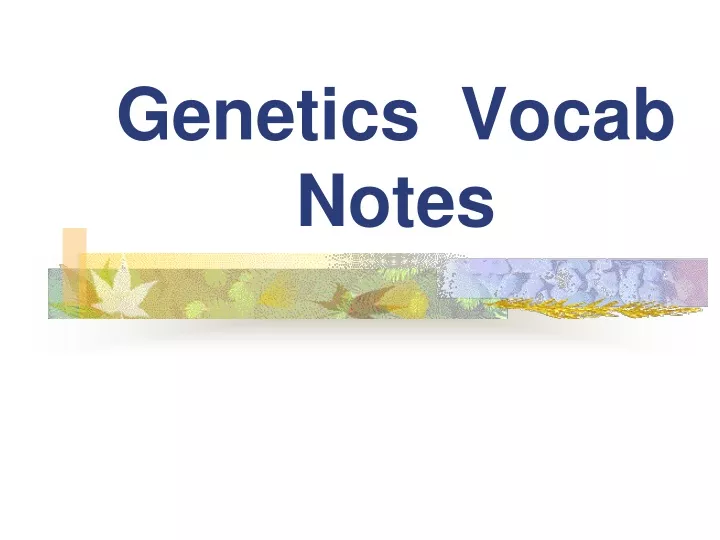 genetics vocab notes