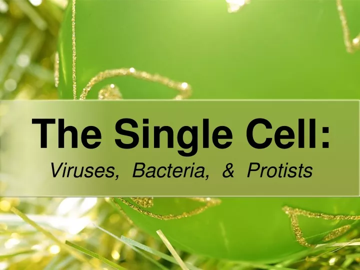 the single cell
