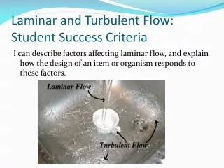 Laminar and Turbulent Flow: Student Success Criteria