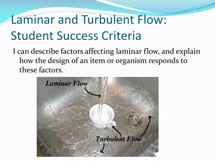 laminar and turbulent flow student success criteria