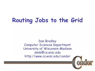 Routing Jobs to the Grid