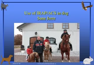 Use  of IRAP/ACS in dog Sune Jerre