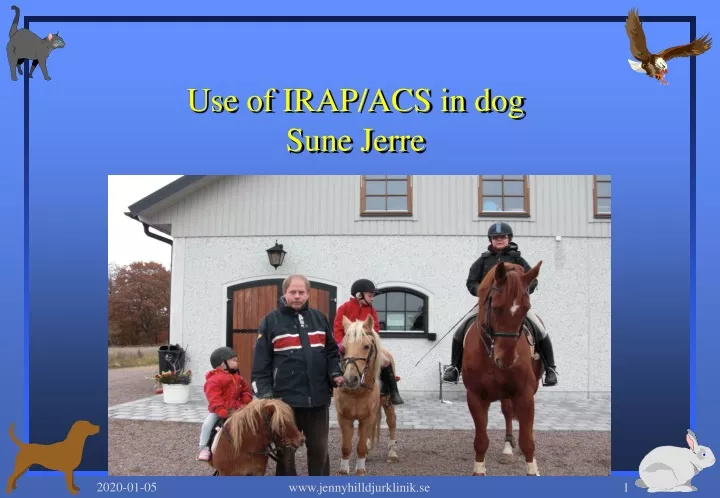 use of irap acs in dog sune jerre