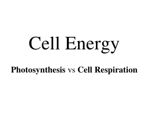 Cell Energy Photosynthesis  vs  Cell Respiration