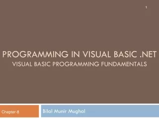Programming in visual basic   Visual Basic Programming Fundamentals