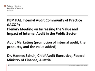 Audit Marketing  Dr. Hannes SCHUH Chief Audit Executive