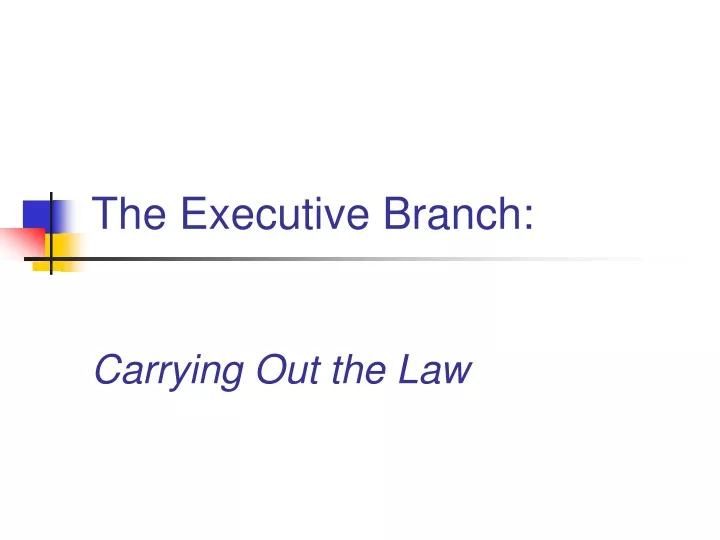 the executive branch carrying out the law