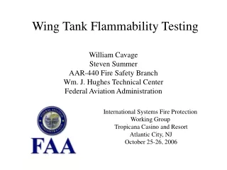Wing Tank Flammability Testing