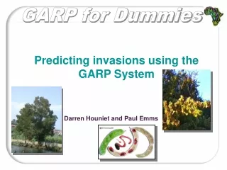 GARP for Dummies