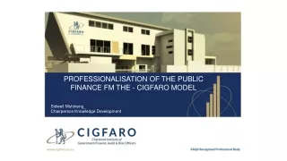PROFESSIONALISATION OF THE PUBLIC FINANCE FM THE - CIGFARO MODEL