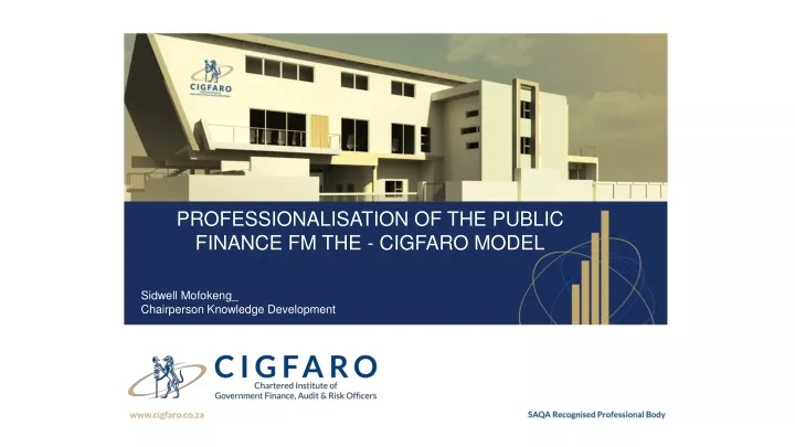 professionalisation of the public finance