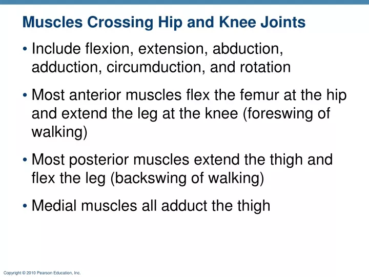 muscles crossing hip and knee joints