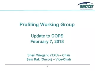 Profiling Working Group Update to COPS February 7, 2018 Sheri Wiegand (TXU) – Chair