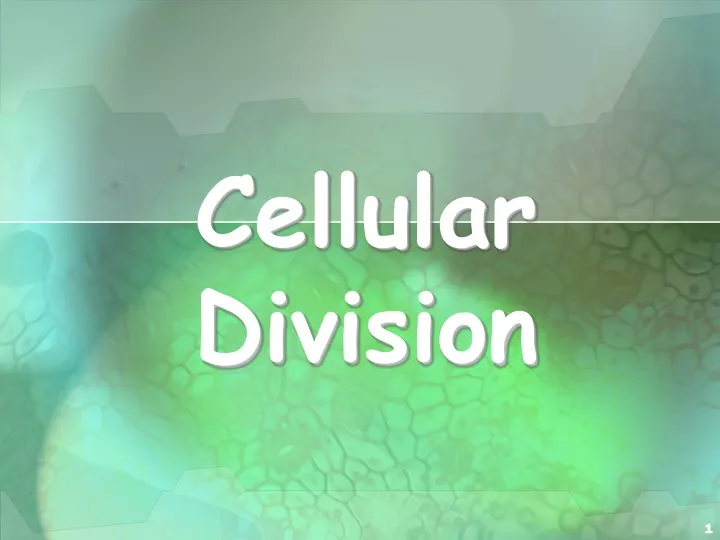 cellular division