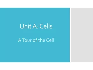 Unit A: Cells