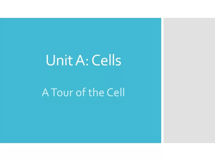 unit a cells