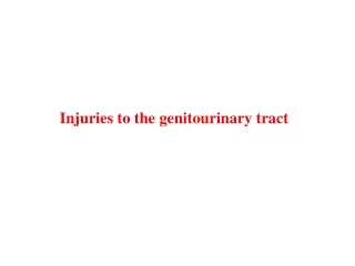 Injuries to the genitourinary tract