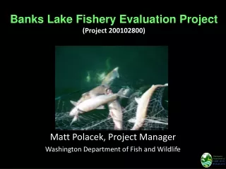 Banks Lake Fishery Evaluation Project (Project 200102800)