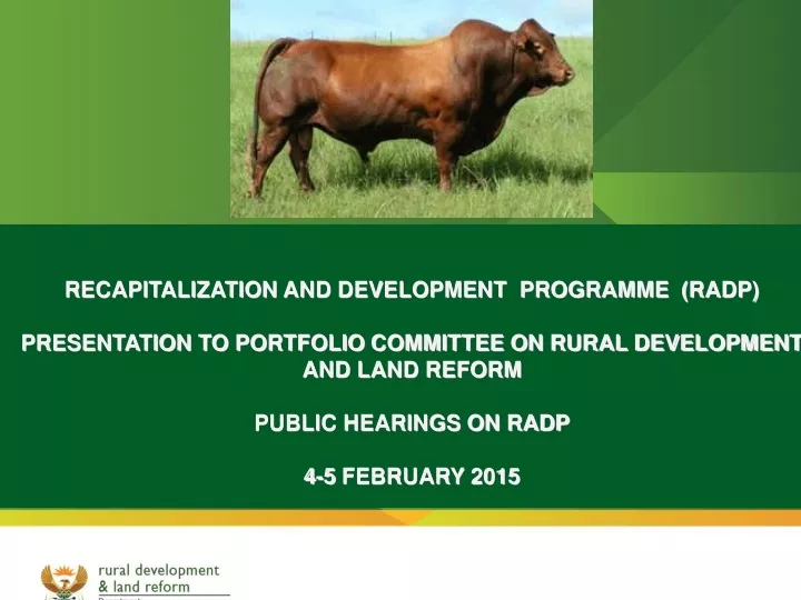 recapitalization and development programme radp