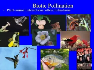 Biotic Pollination