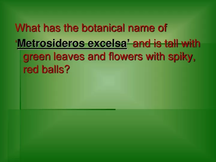 what has the botanical name of metrosideros