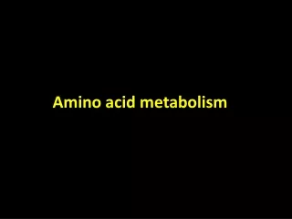 Amino acid metabolism