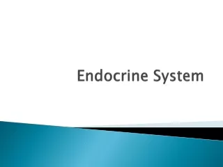 Endocrine System