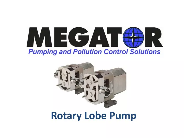 rotary lobe pump