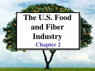 The U.S. Food  and Fiber Industry