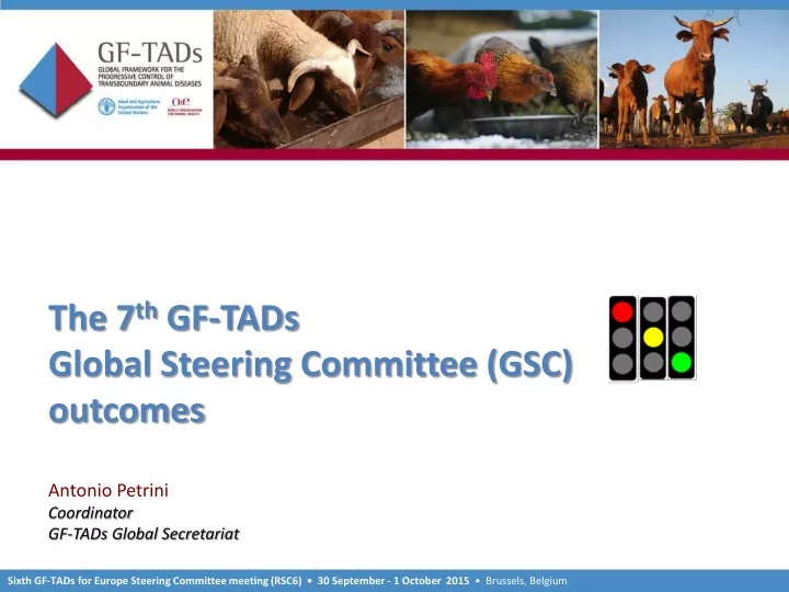 the 7 th gf tads global steering committee