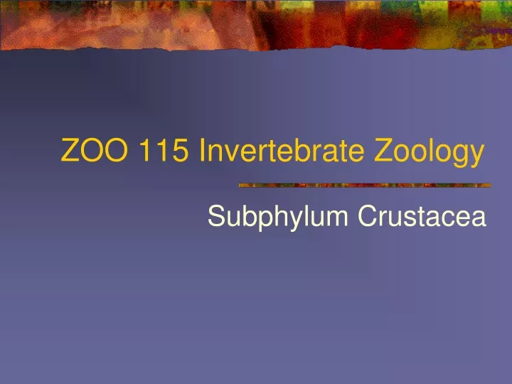 zoo 115 invertebrate zoology